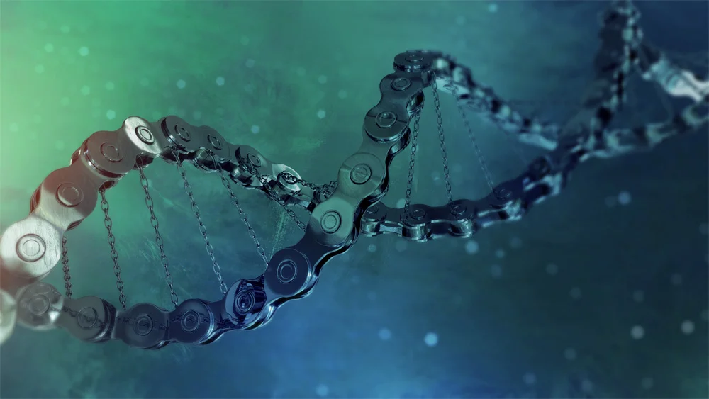 DNA chains