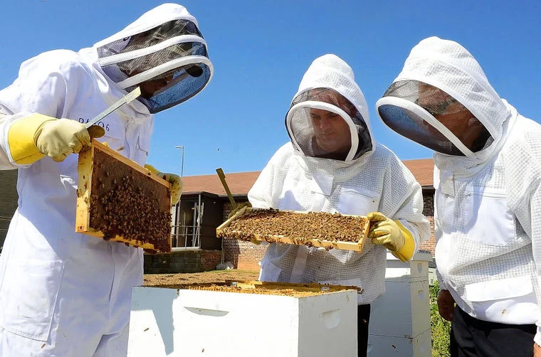 Empire State Honey Producers Association, Inc.