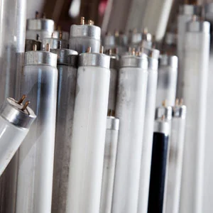 Fluorescent Bulbs