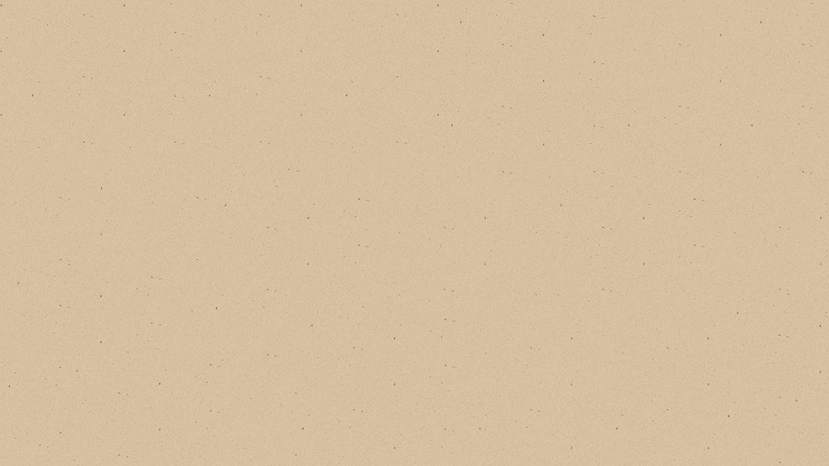 bg2.gif