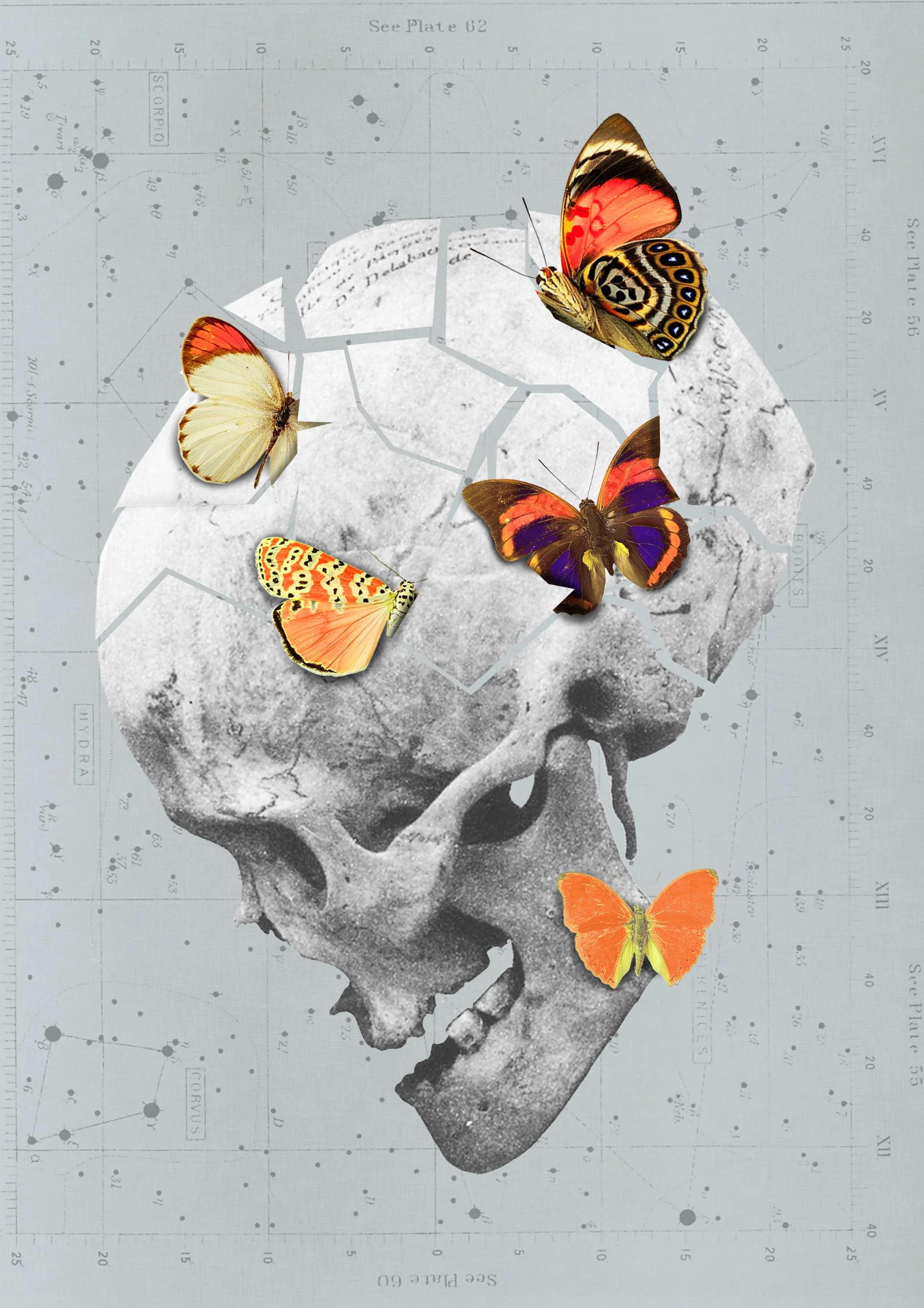 collage1.jpg