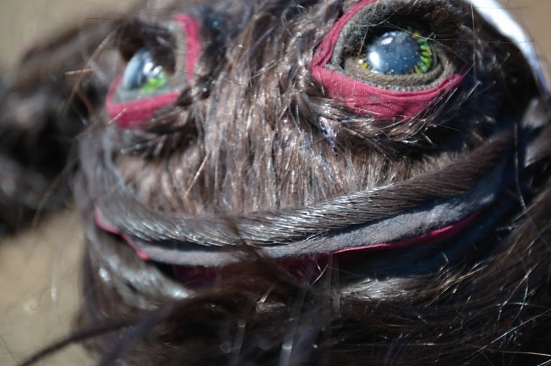 Hair Worm