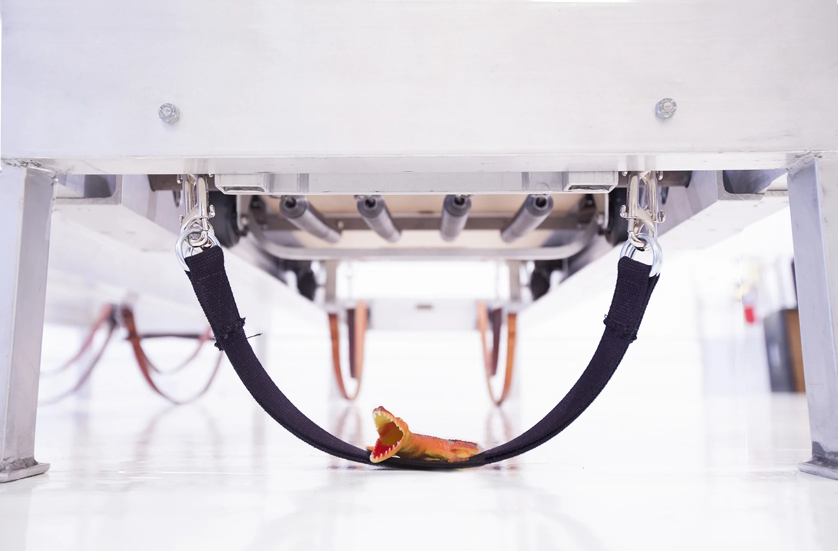 IMG_5856 croc.under.jpg