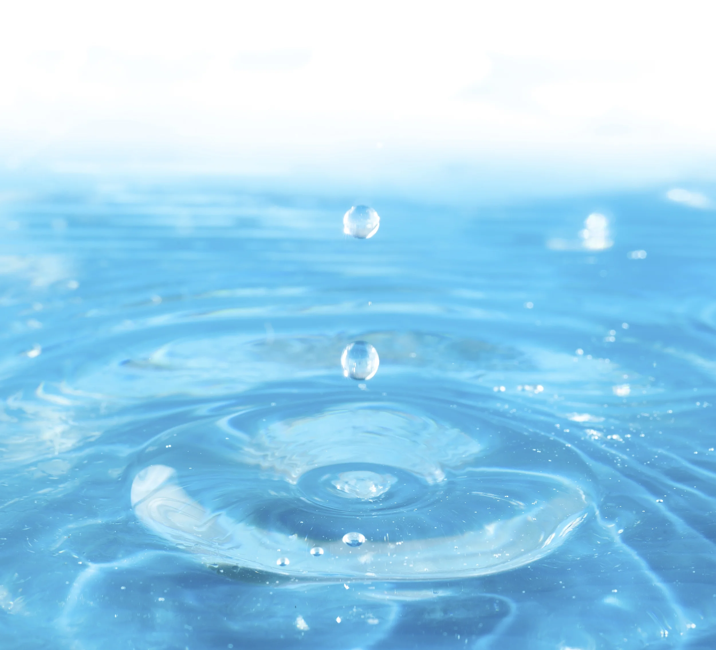 iStock_000037272076_Large.jpg