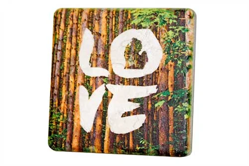 FOREST-LOVE.jpg
