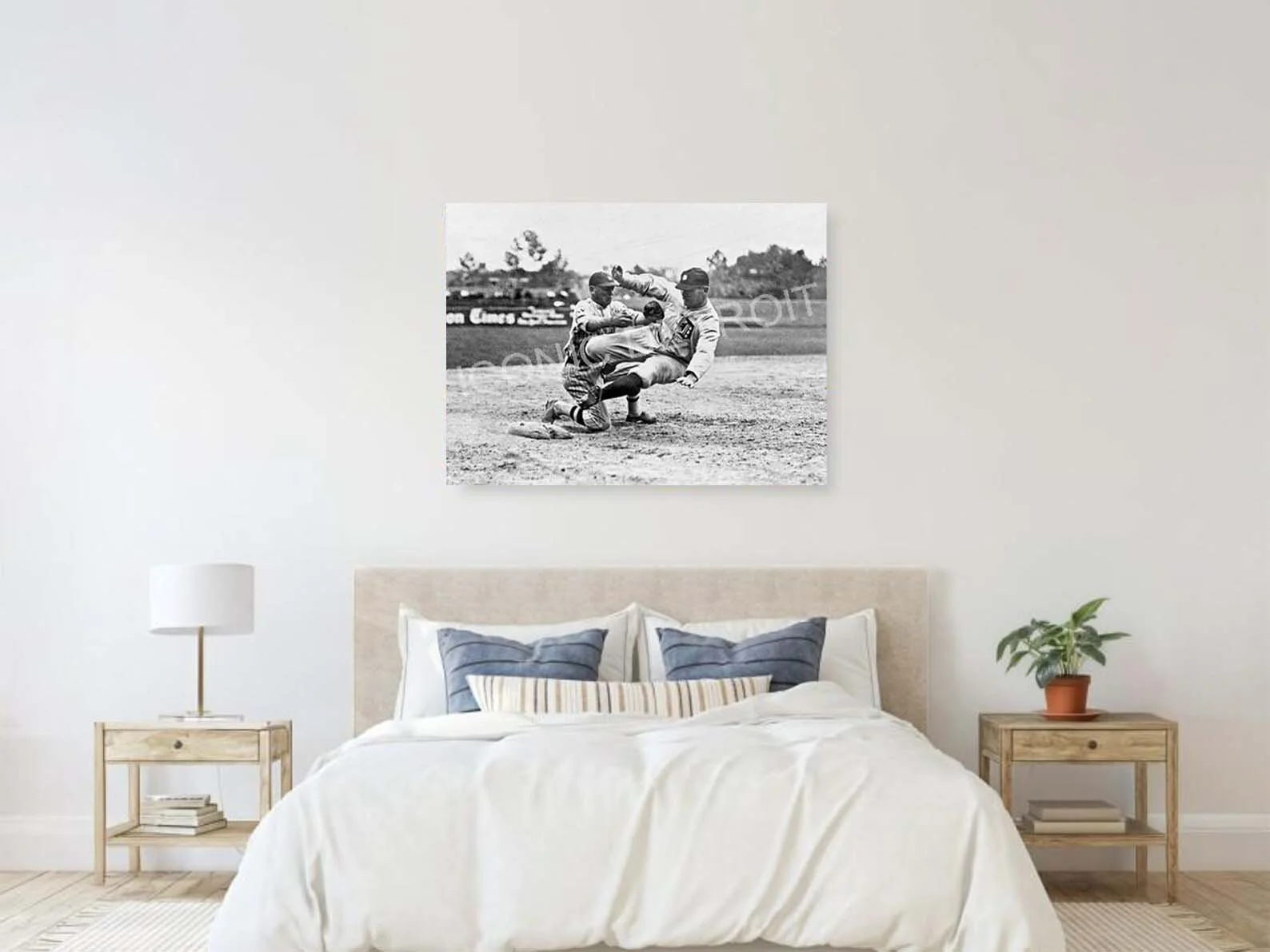 tigers canvas.jpg