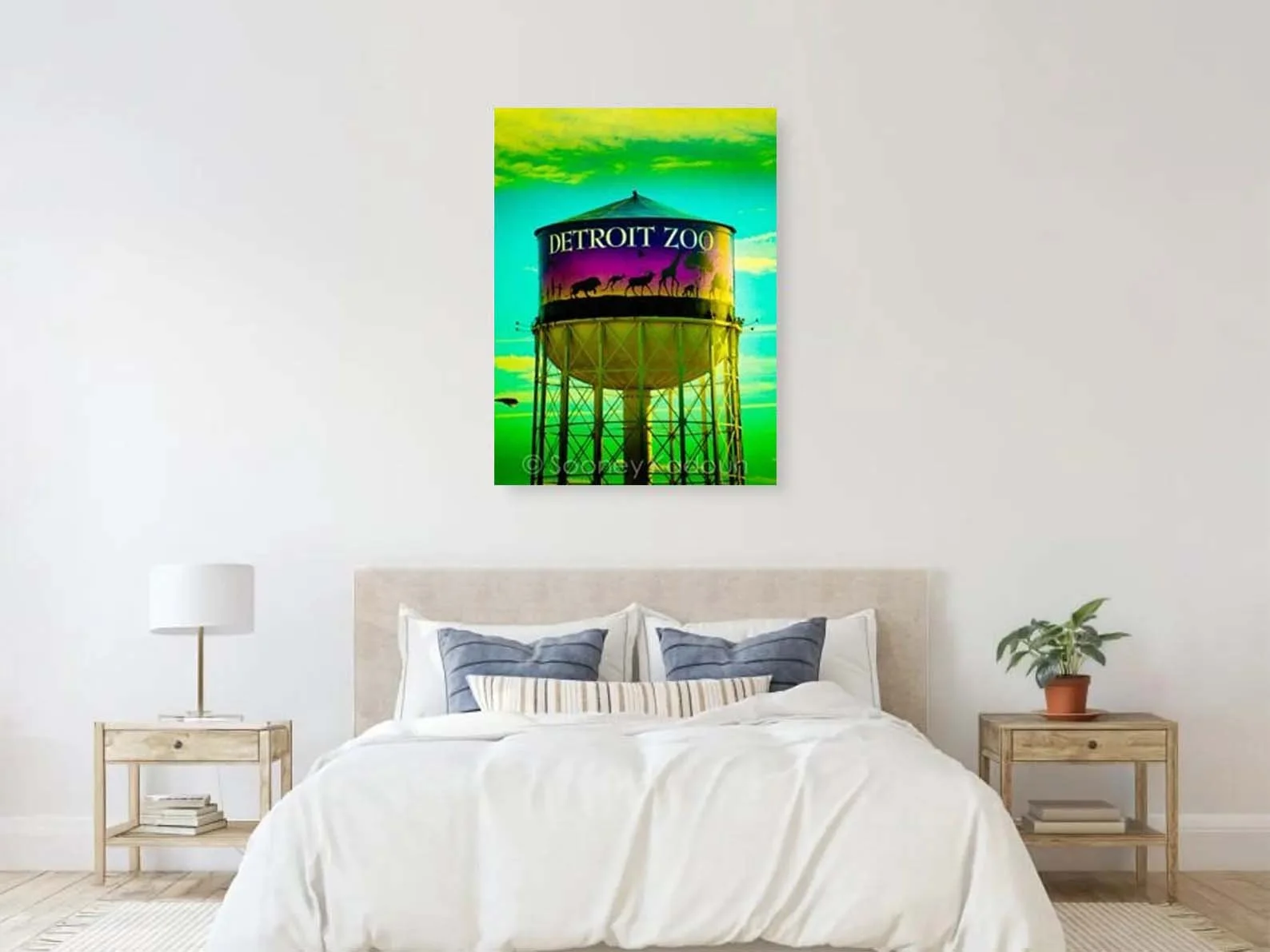 zoo canvas.jpg