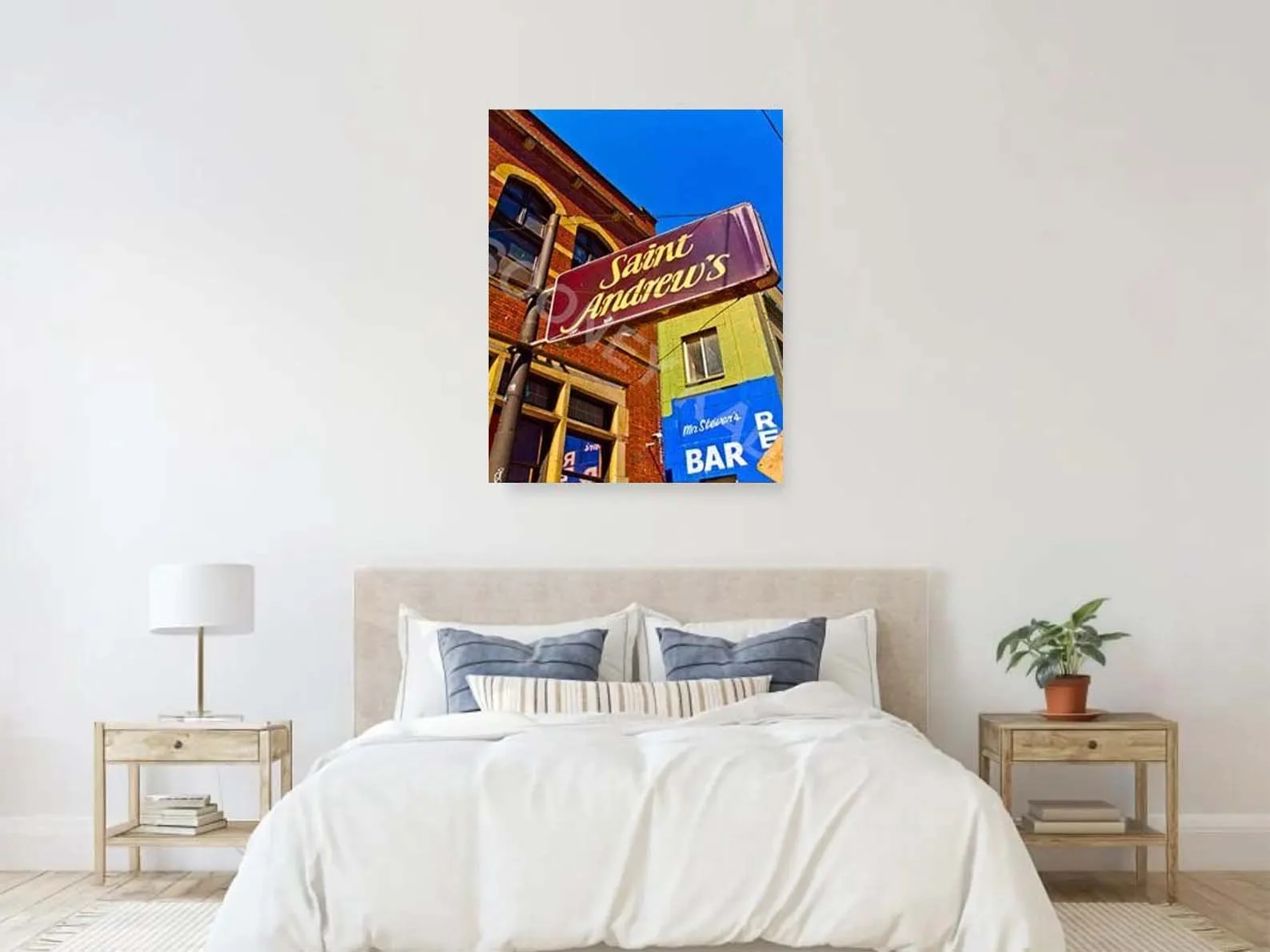 STANDREWS CANVAS.jpg