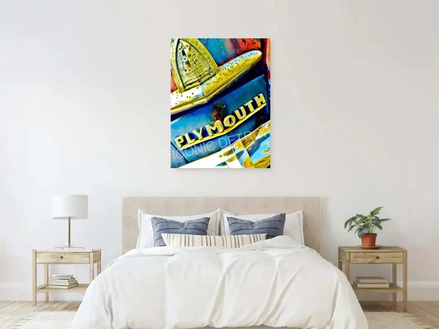 plymouth canvas.jpg