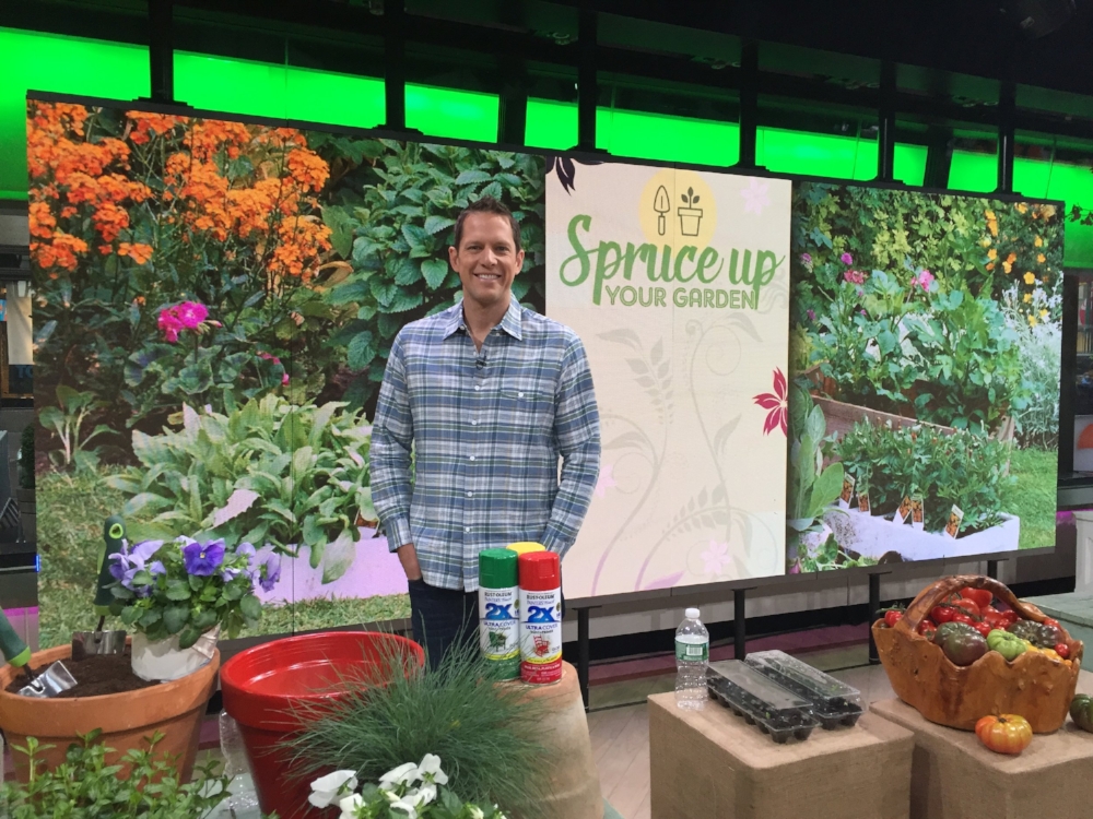 My April 4 Today Show Segment