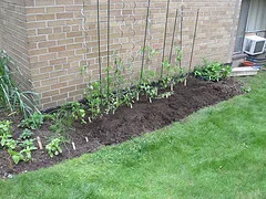 How (and what and why) does your garden grow?