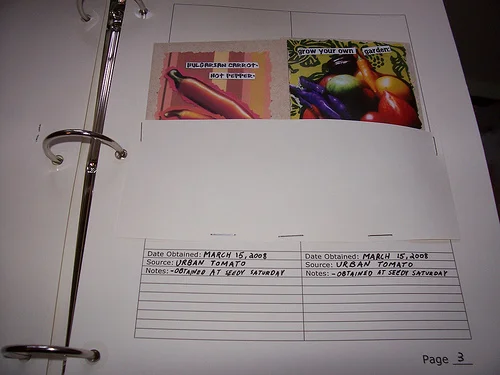 Choosing Seeds and Deciding What To Grow