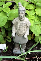 Tools For Tracking Your Garden