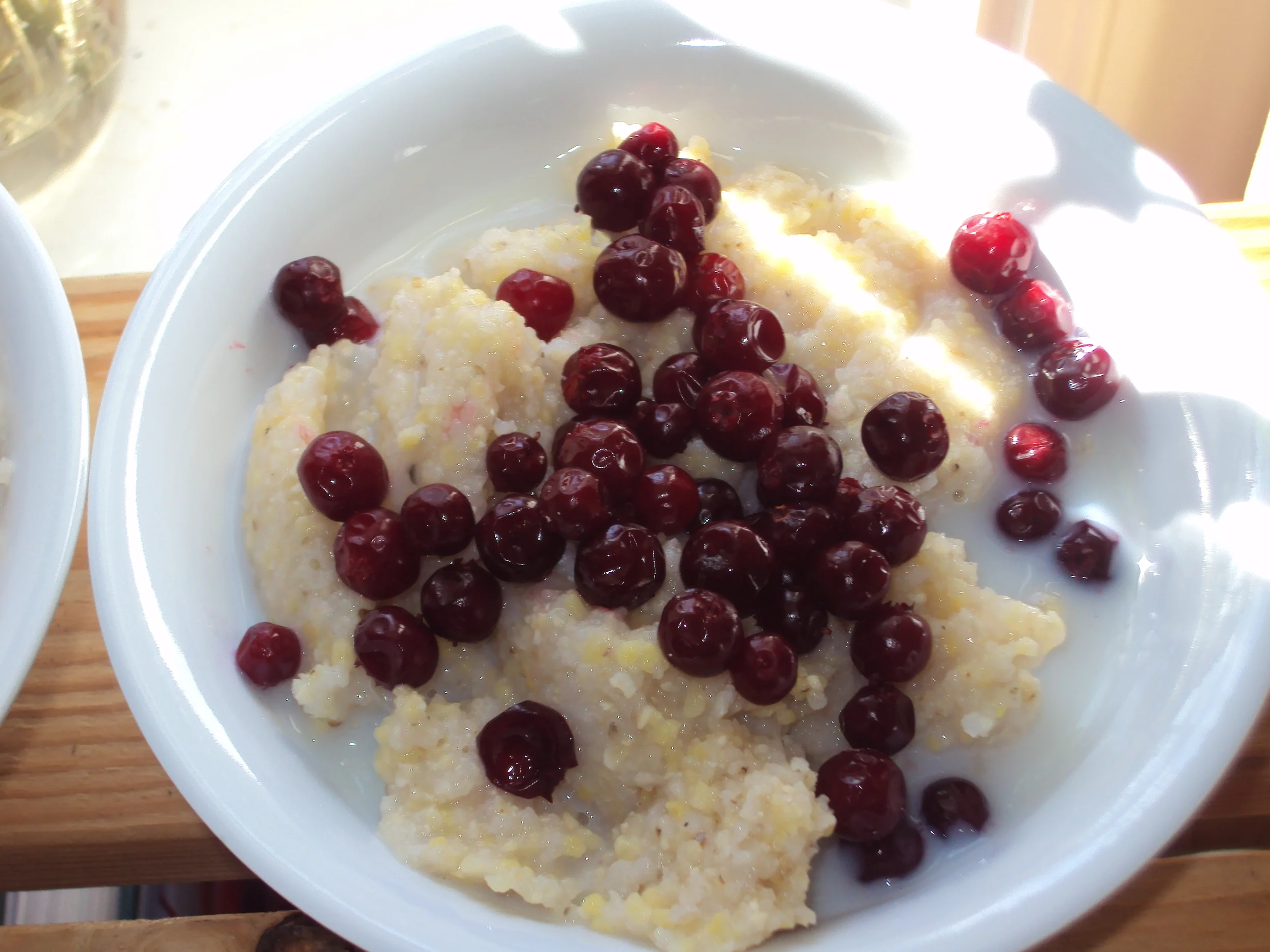 Partridgeberry Recipes