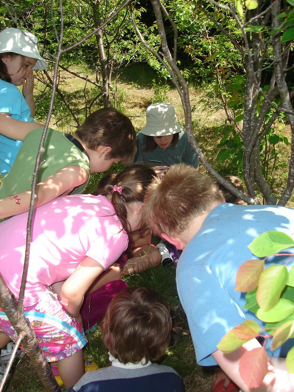 International Compost Awareness Week