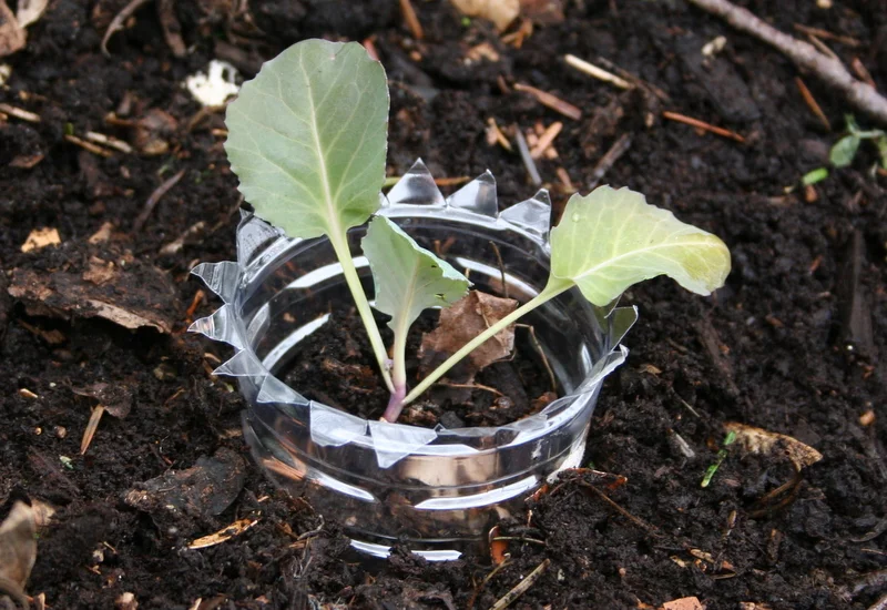 Gardener, know thine enemy! 