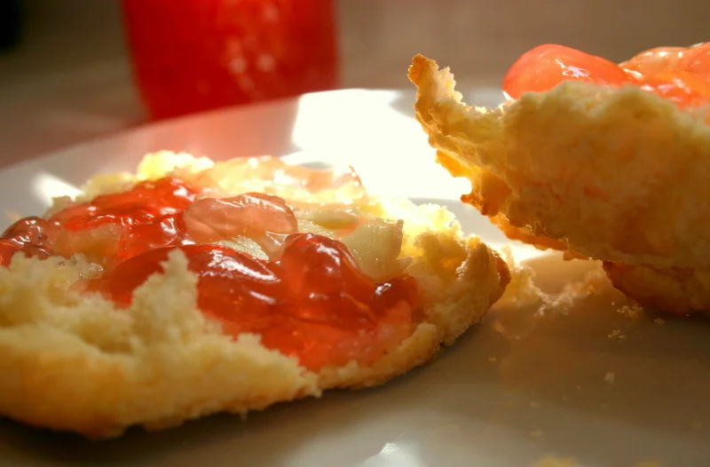 What weed? Knotweed!