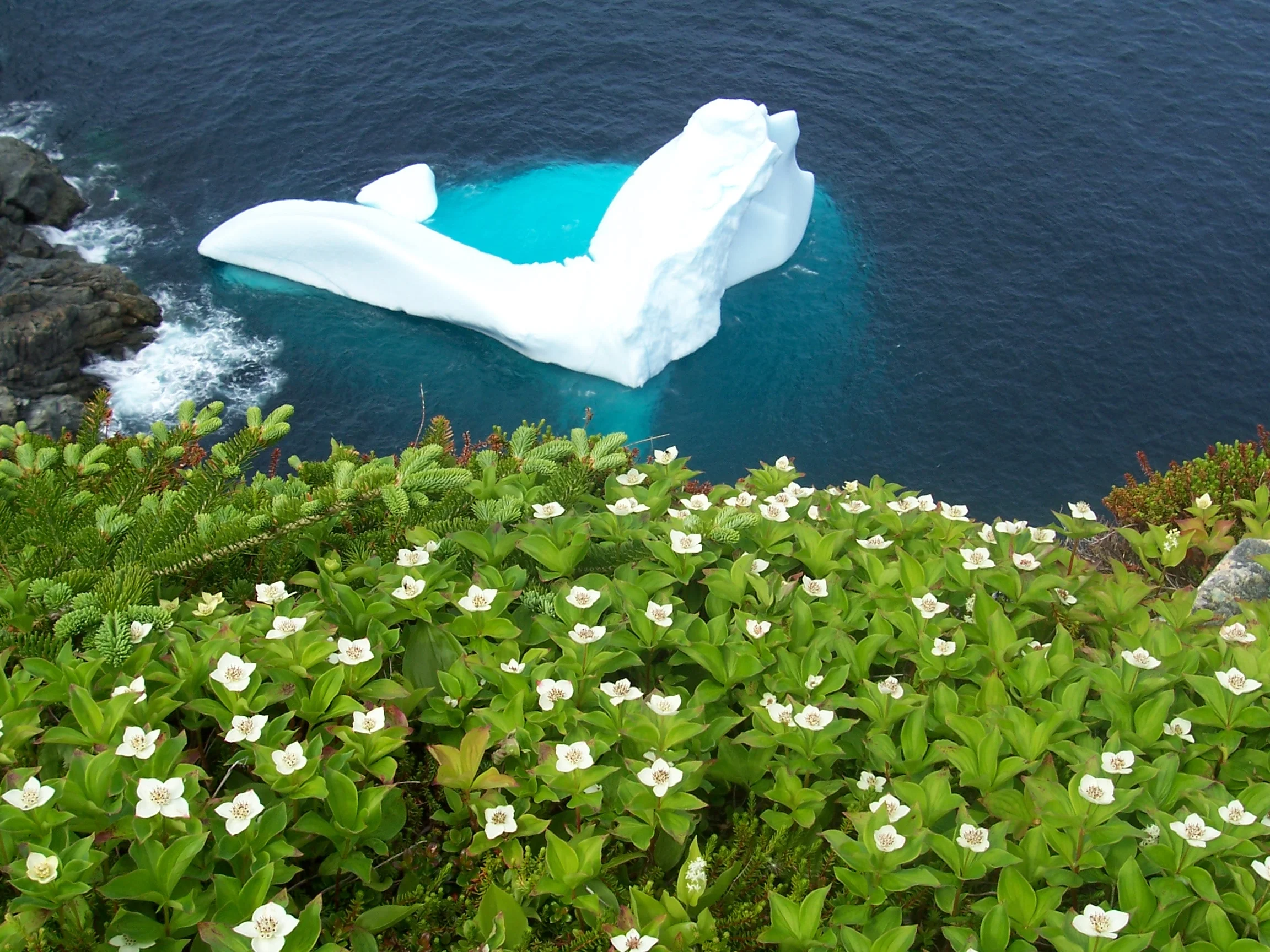 Bits and Pieces: Along the Shore