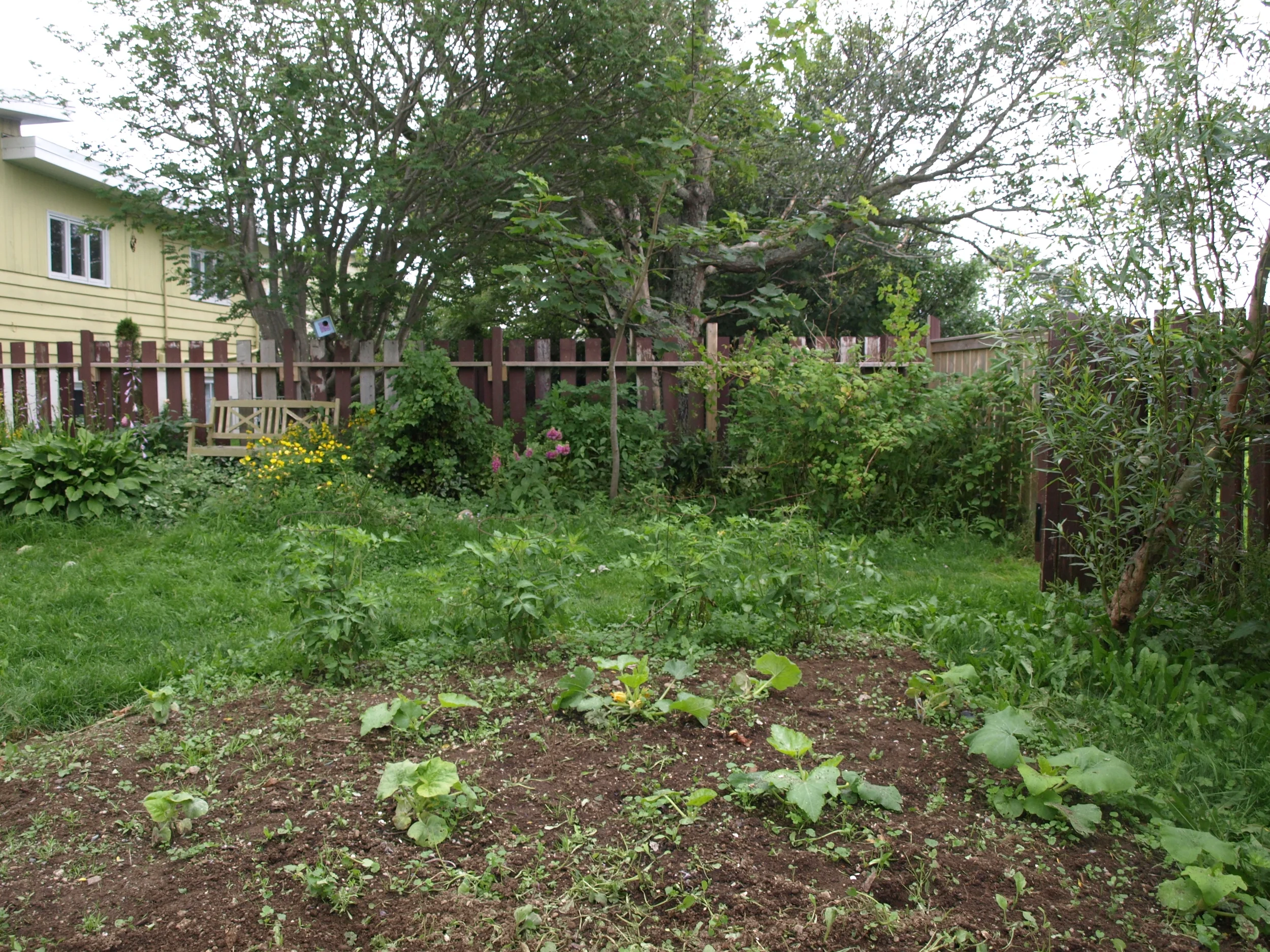 You Grew! True confessions of a happy lousy gardener