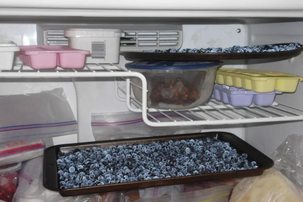 Ice Ice Veggies