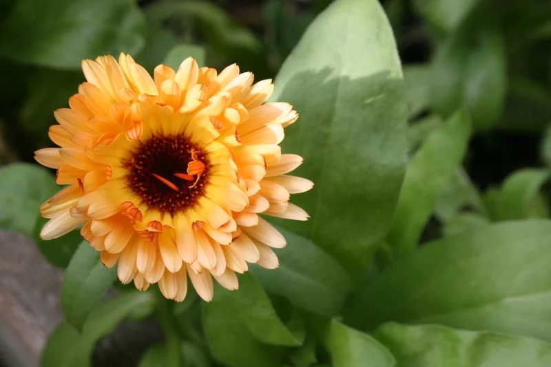 The good, the bad, and the ridiculous