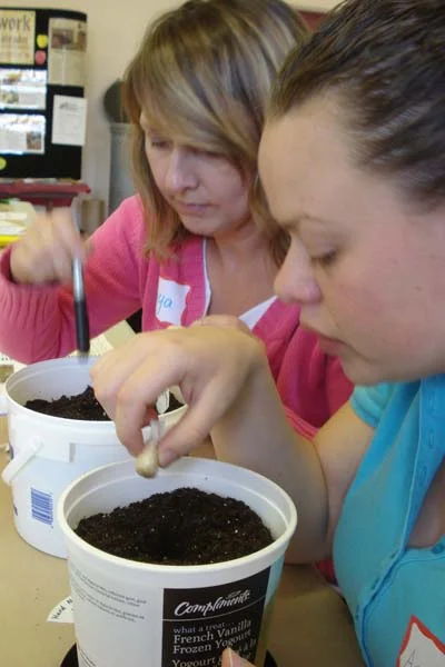 Food Skills Workshop Pilot
