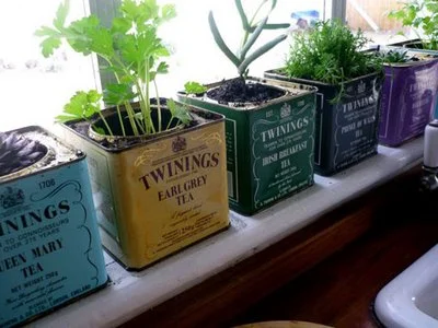 Indoor Gardening: Thanks for the tips, Interweb!