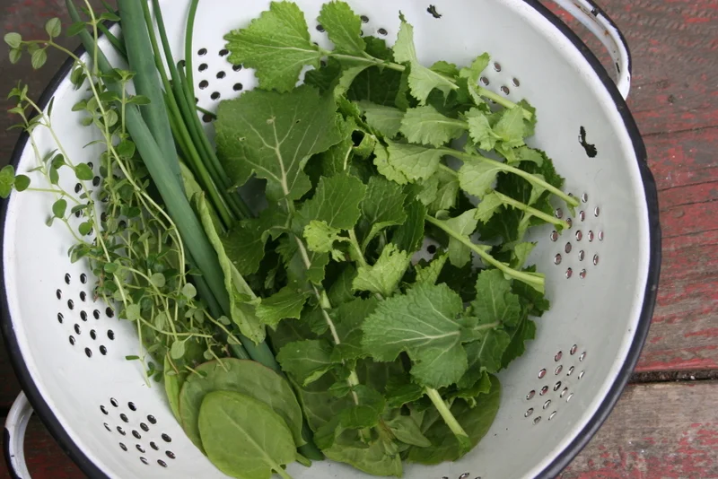 Lazy in the fall, happy in the spring