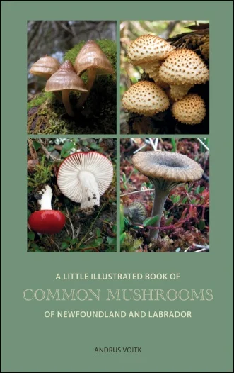 Mushrooms & Foray NL