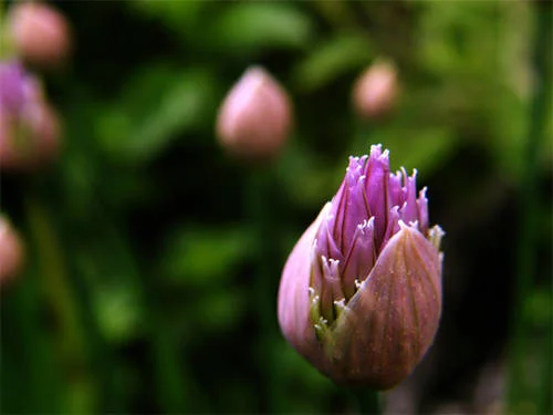 We interrupt this program...