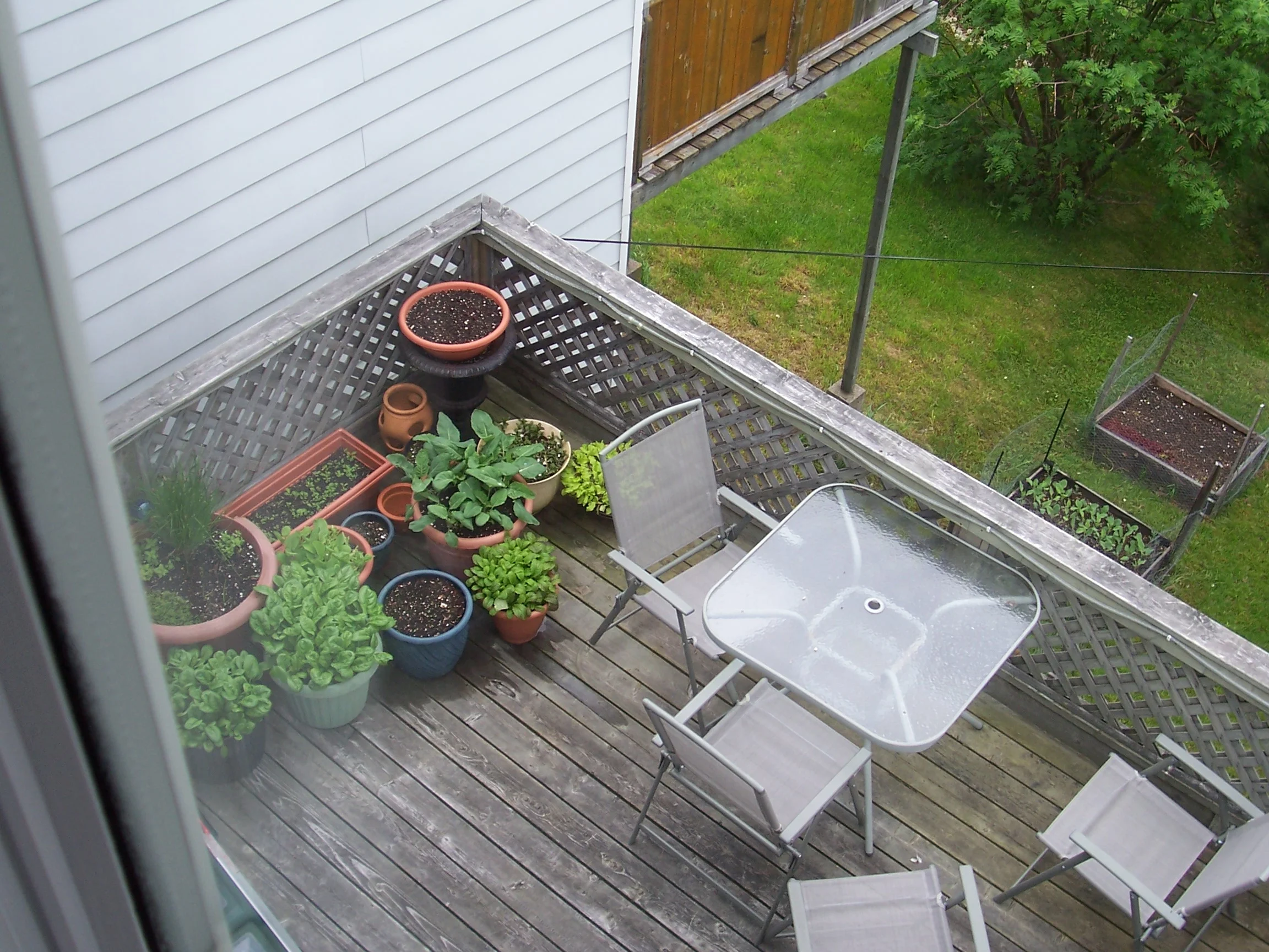 Container Garden workshop in St. John's