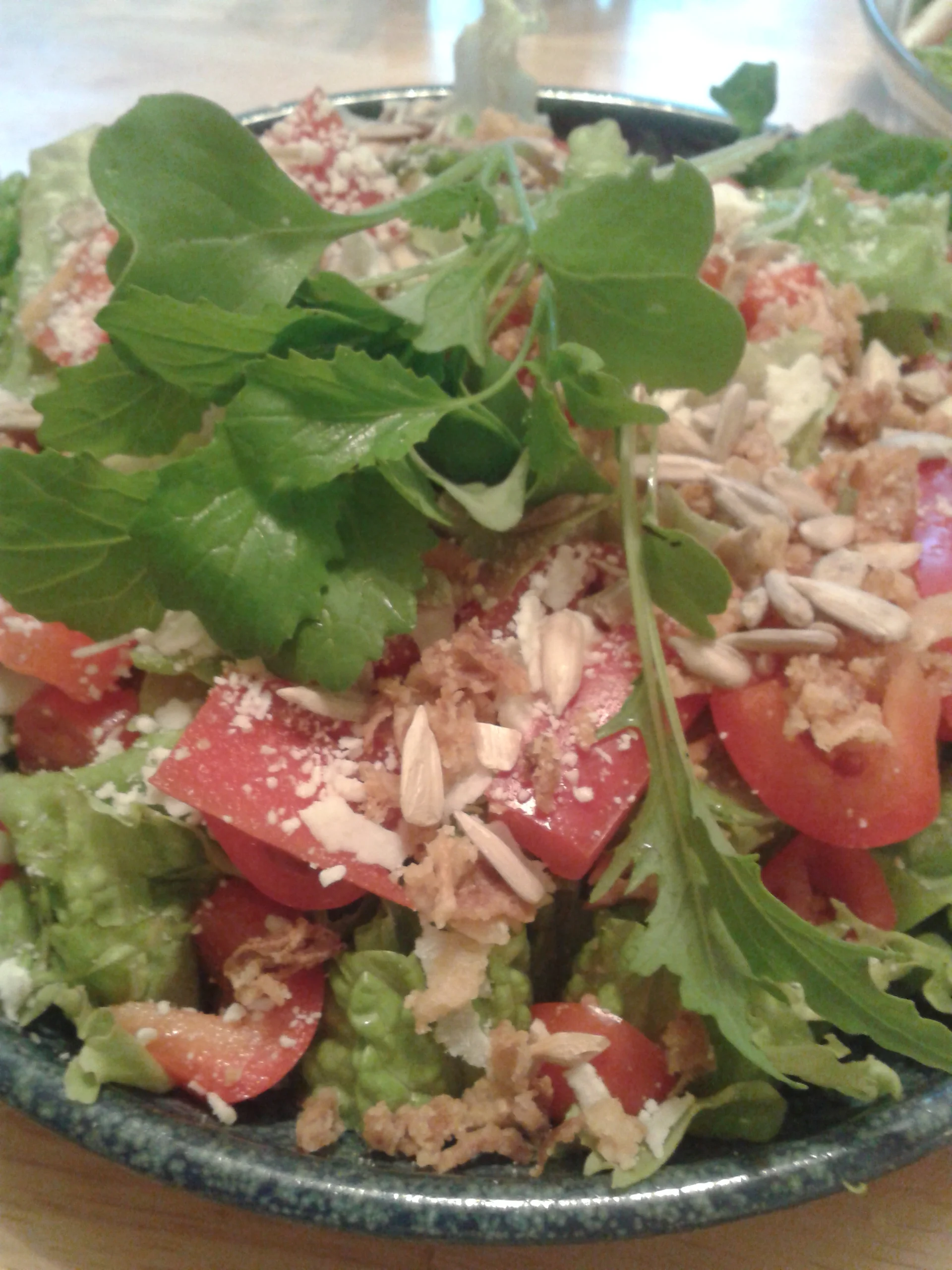 Greens Garden Update & Salad for Supper