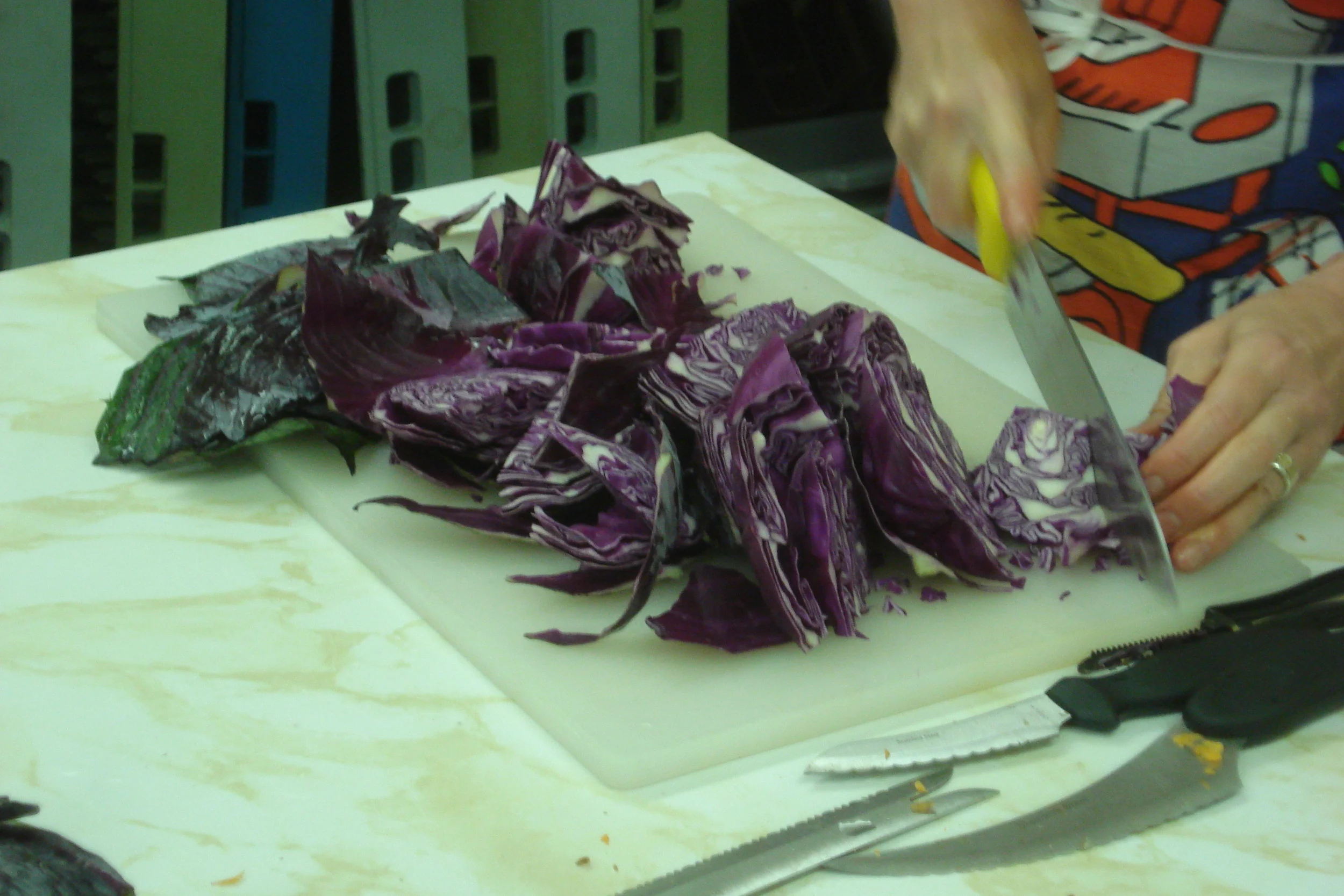 Fermented Vegetables