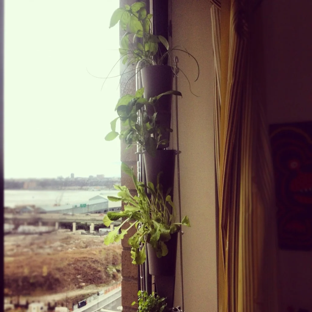 Indoor Gardening Teleconference!