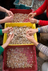 Grow a Farmer (It could be you!)