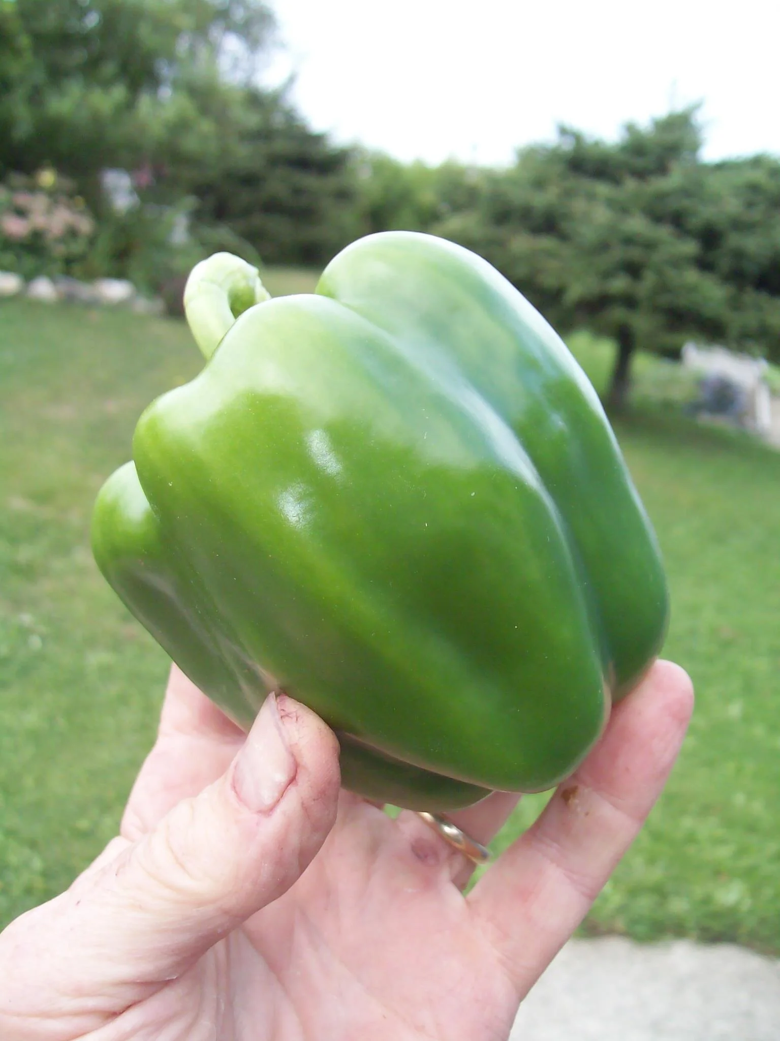 Creating the Year-Round Garden: workshop opportunity in Pouch Cove