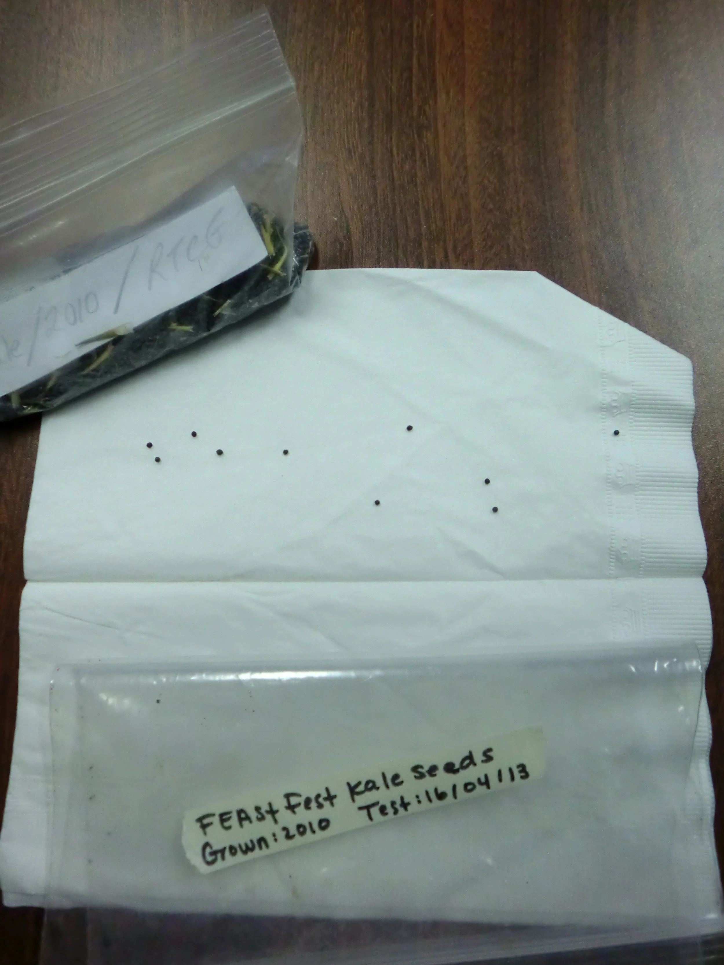 How to do a Seed Germination Test