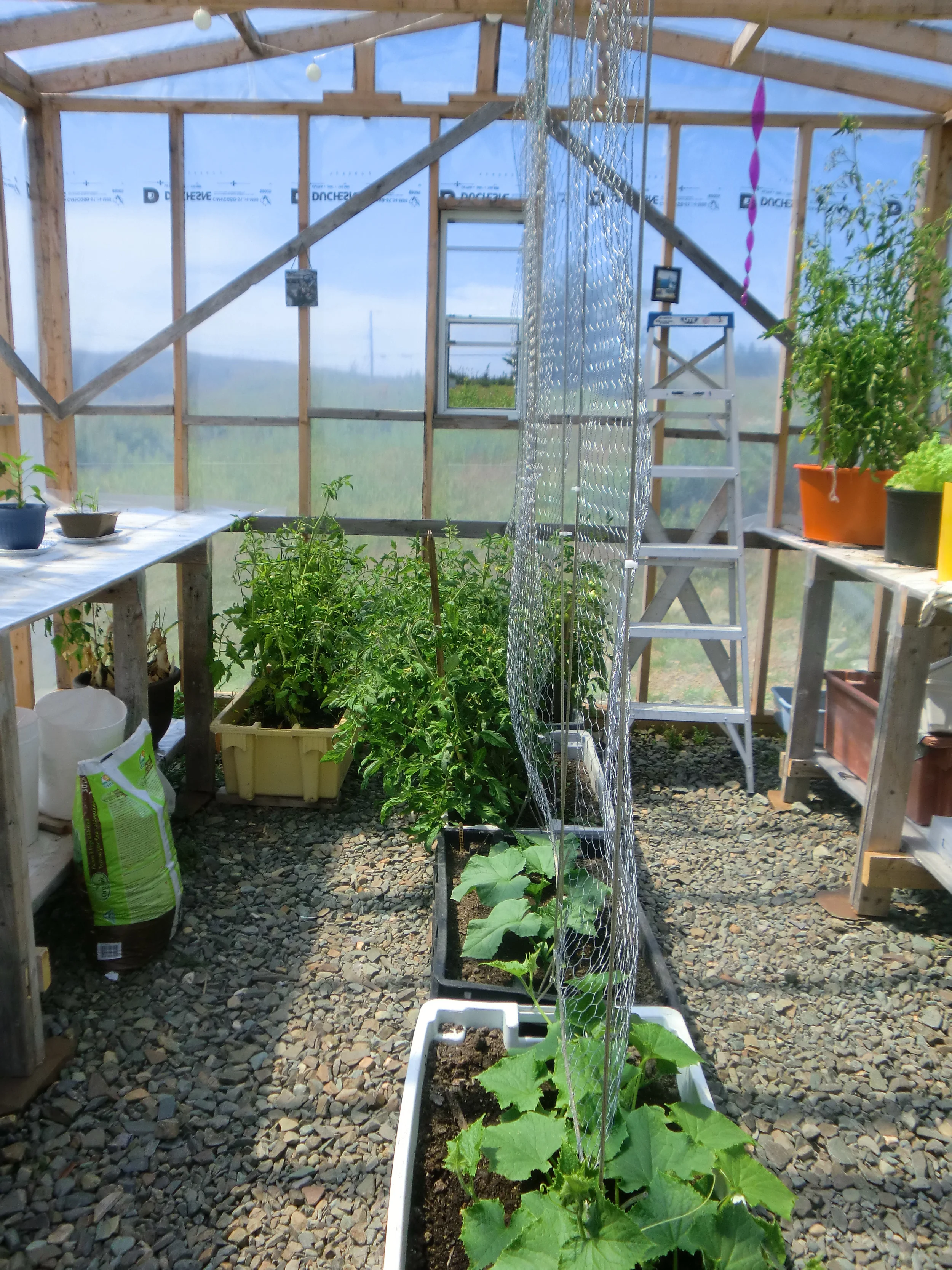 FSN Webinar Opportunity: Greenhouse Design and Management with Garden Mind