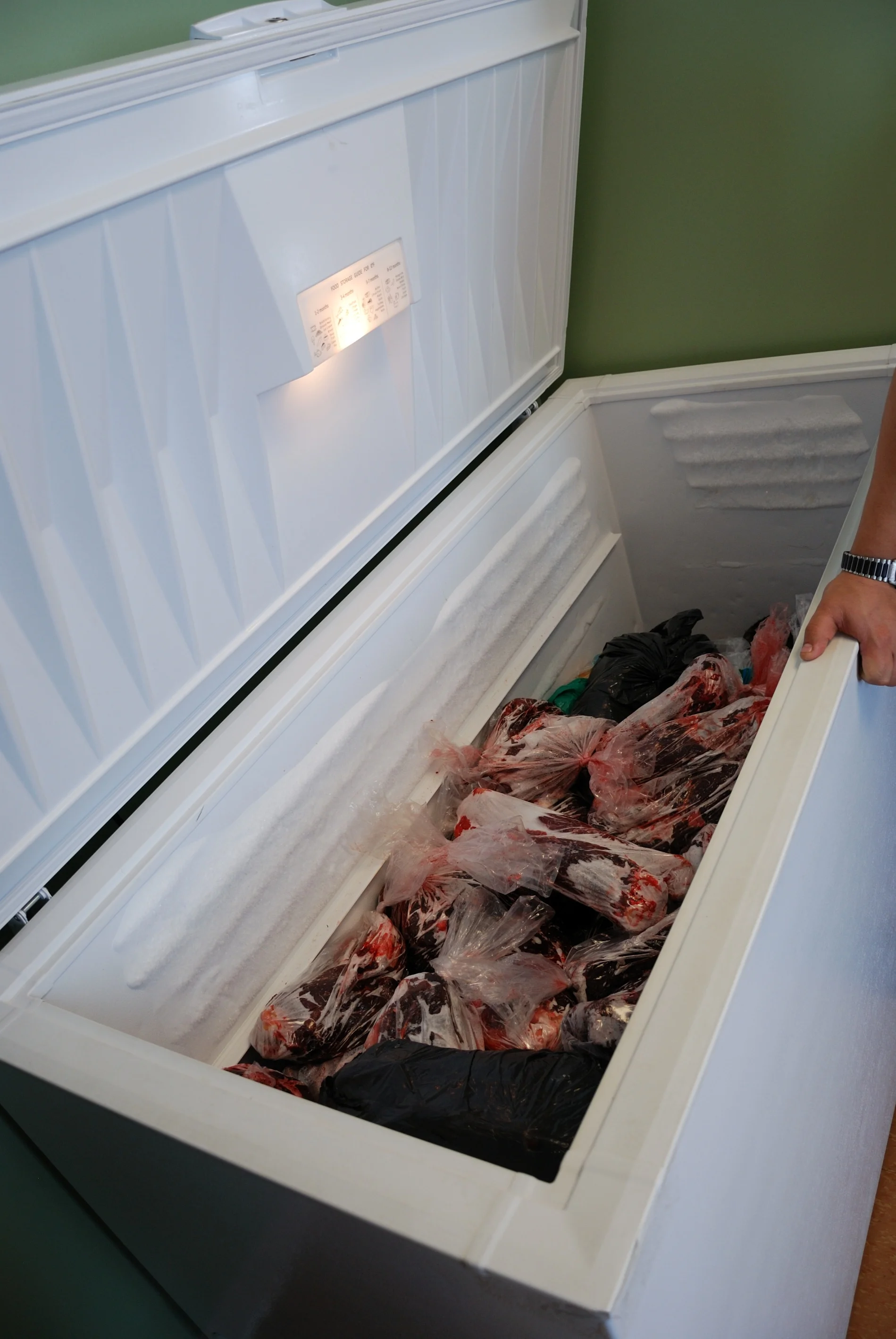 Community Freezer in Hopedale