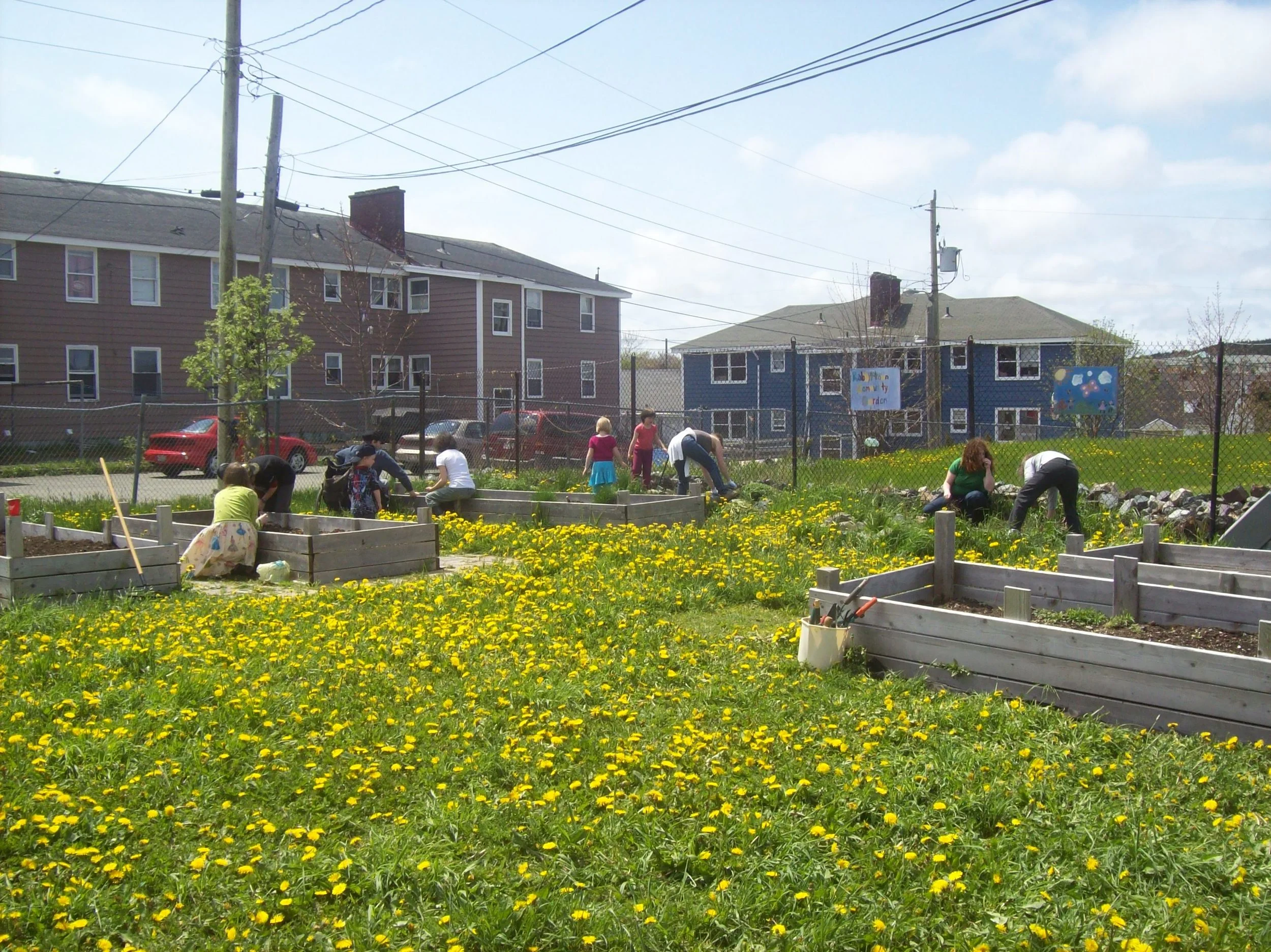 16 Community Gardens in St. John's!