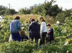 Job Opportunity: Growing in Pippy Park Coordinator