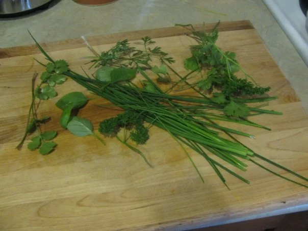 How to Freeze Herbs
