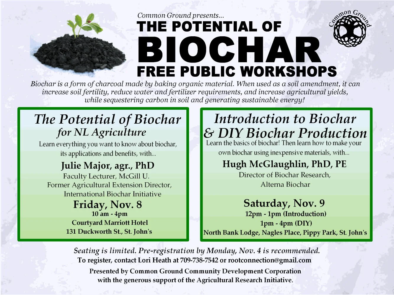 The Potential of Biochar for NL Agriculture