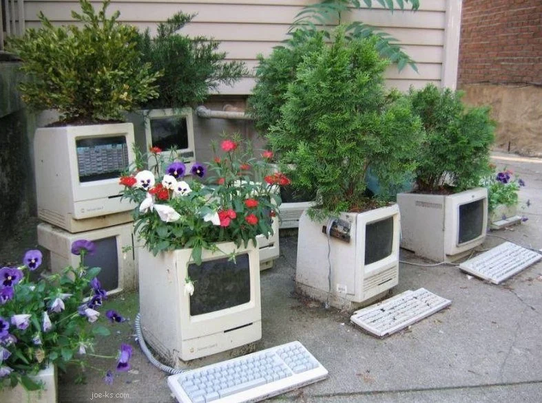 Upcoming FSN Teleconferences & Other Education Events