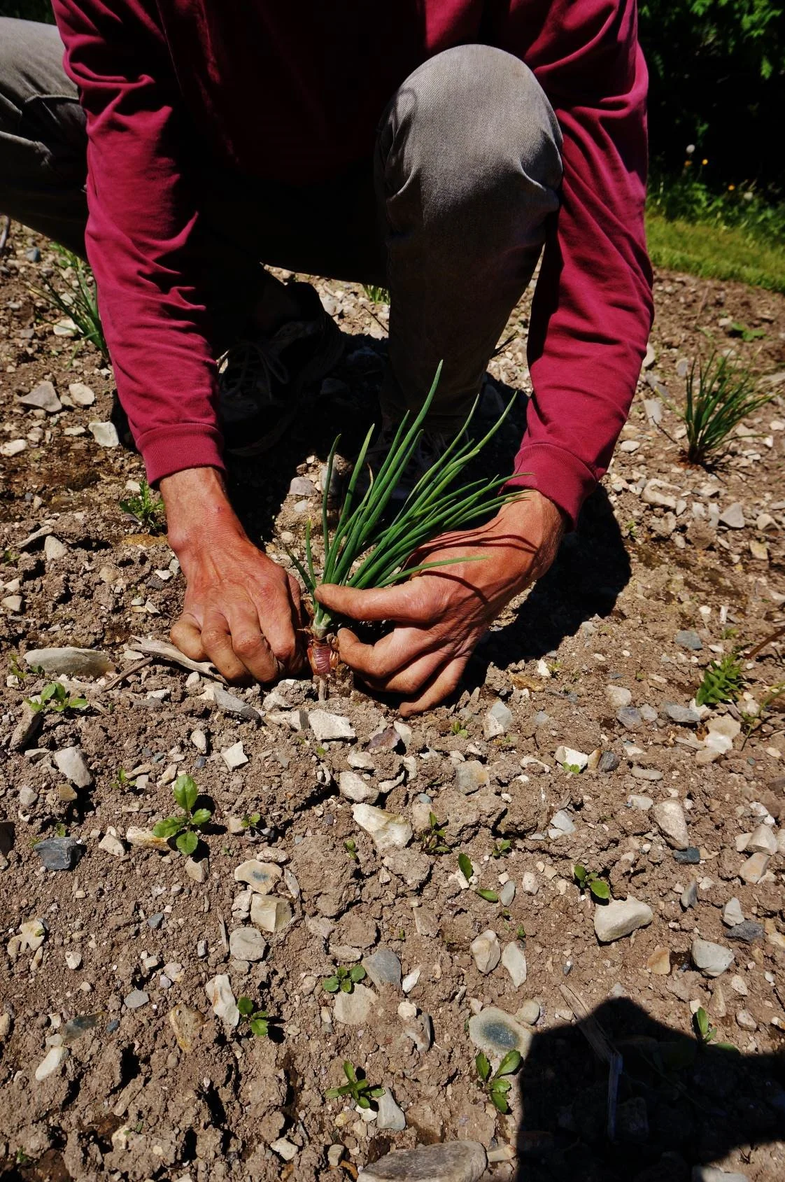 A Conversation with Jeremy Carter of Nagels Hill Agri-Products