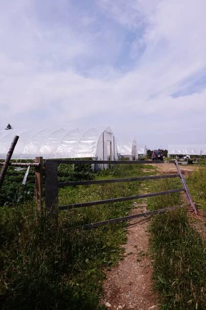 A Conversation with Evan Murray and Brian Kowalski of Murray Meadows Farm