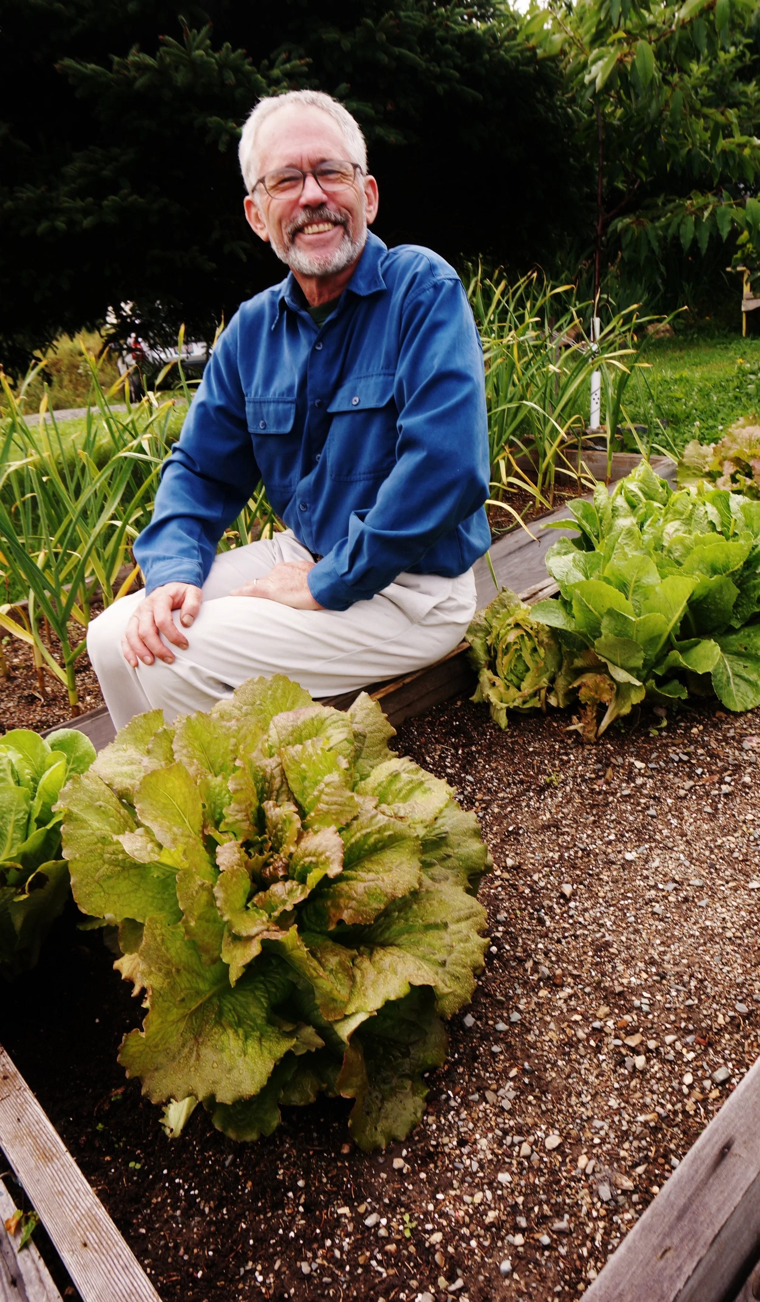Planting the Seeds of Food Security : A Conversation with Dan Rubin of Perfectly Perennial Herbs and Seeds