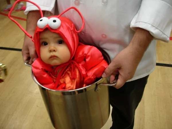 Here are all of the best Hallowe'en lobster costume photos that exist