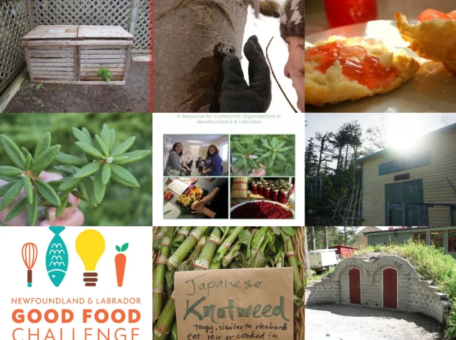 Our Ten Most Visited Pages of 2014