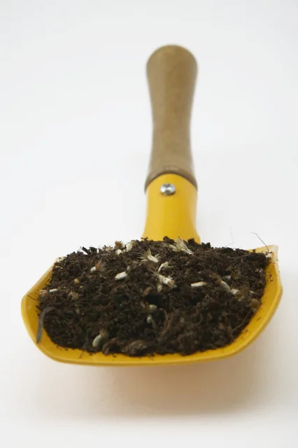 compost.jpg
